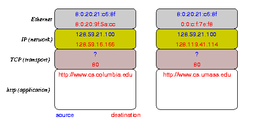 packet layout
